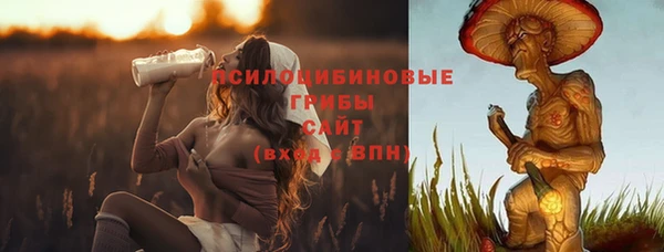 ешки Алексин