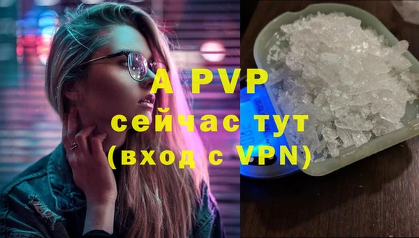 ешки Алексин